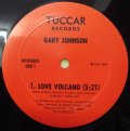Gary Johnson - Love Volcano