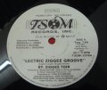 Ziggee Toir - Lectric Ziggee Groove