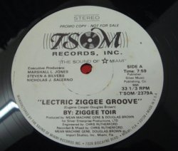 画像1: Ziggee Toir - Lectric Ziggee Groove