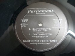 画像1: California Executives - I Can't Forget You