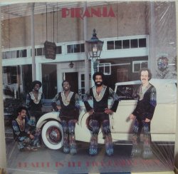 画像1: Piranha -Headed In The Right Direction  LP(Re)