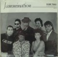  Jammination ‎– This One's For You 