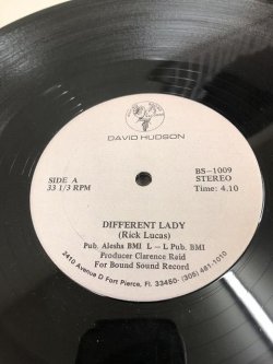 画像1:  David Hudson ‎– Different Lady 