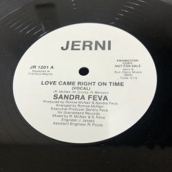 画像1: Sandra Feva - Love Came Right On Time