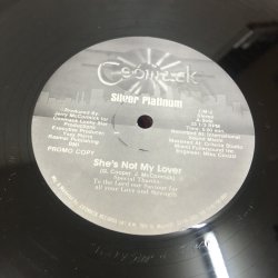 画像1: Silver Platinum - She's Not My Lover
