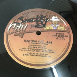 画像1: Starpoint - Wanting You