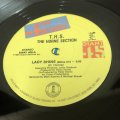  T.H.S. The Horne Section - Lady Shine (Shine On) 