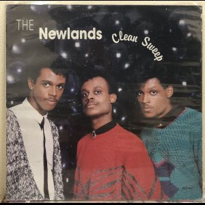 画像:  The Newlands ‎– Clean Sweep 