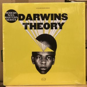 画像: Darwin's Theory - Darwin's Theory LP