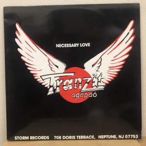 画像:  Tranzit -  Necessary Love