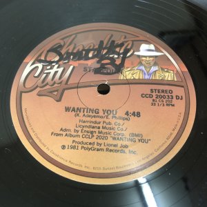画像: Starpoint - Wanting You