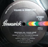 画像: Young & Company - Waiting On Your Love