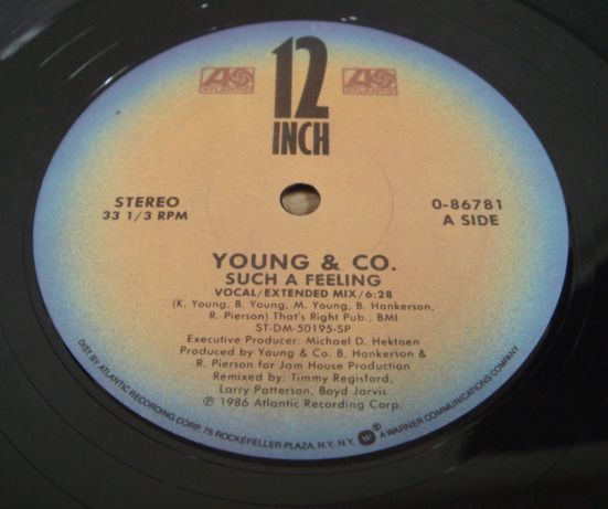 画像1: Young & Co - Such A Feeling