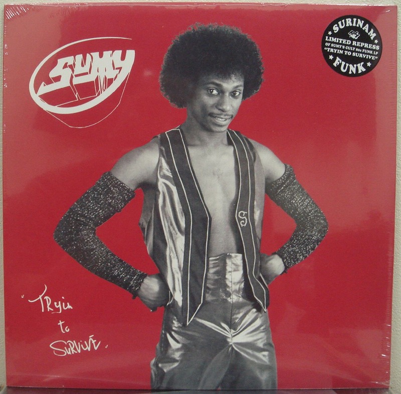 画像1: Sumy - Tryin To Survive　LP (Re)