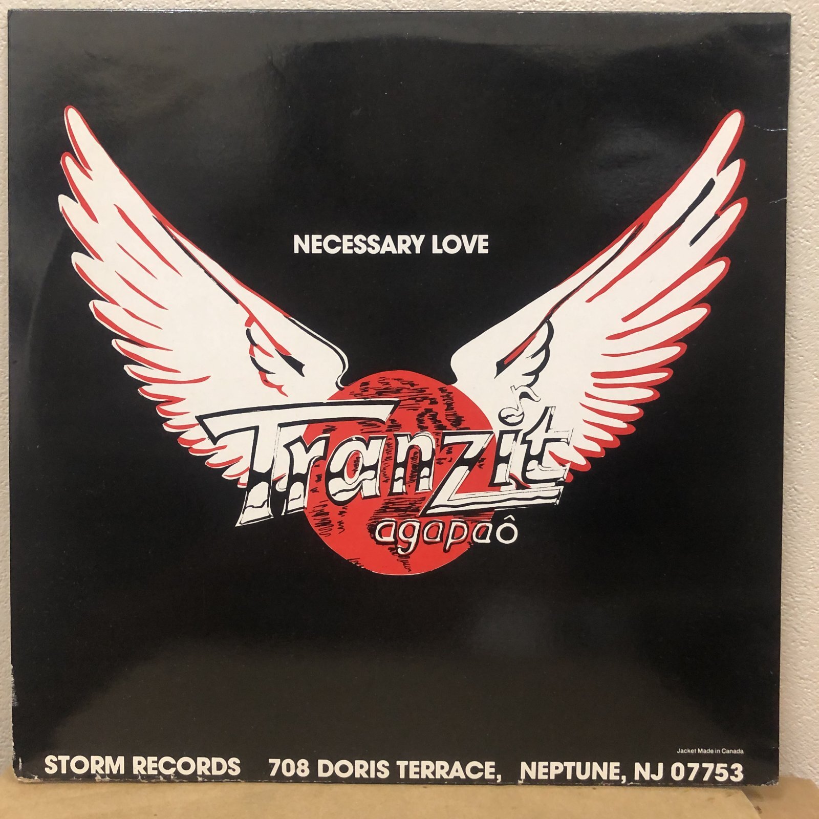 画像:  Tranzit -  Necessary Love