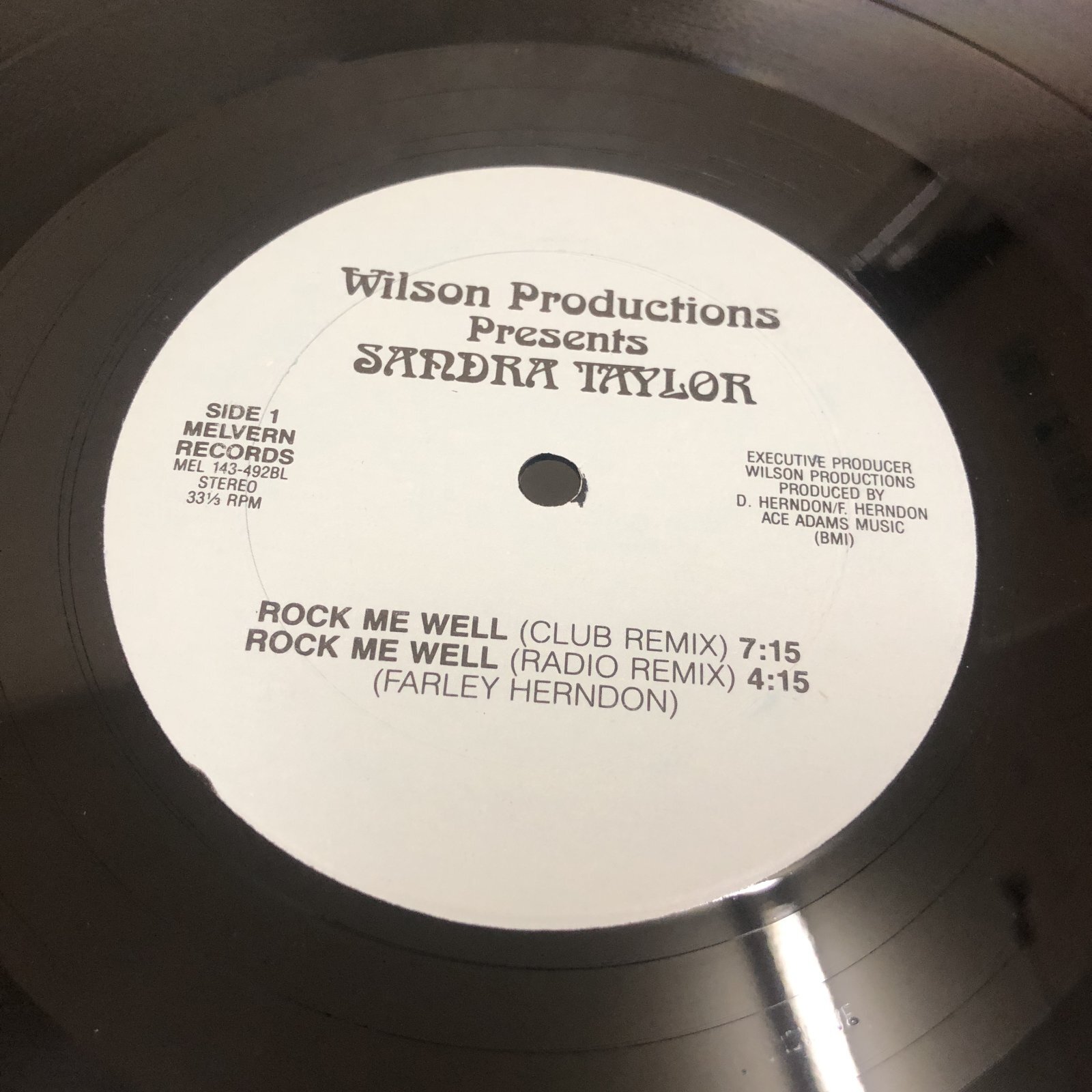 画像1: Sandra Taylor - Rock Me Well